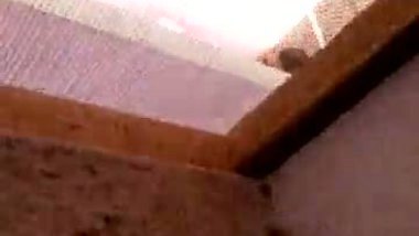 Hidden wathing indian sister